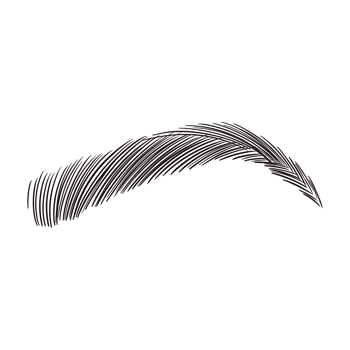 Black Eyebrow Drawing png