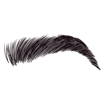 Black Fluffy Eyebrow png