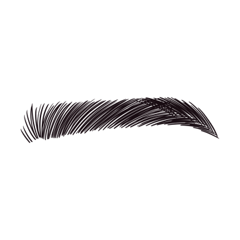 Black Straight Eyebrow Drawing png