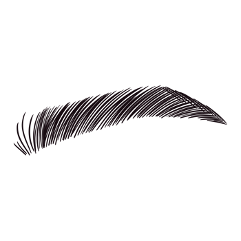 Black Perfect Eyebrow Drawing png