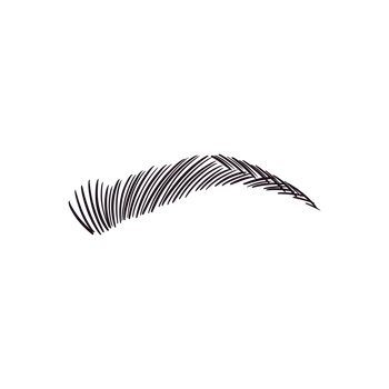 Black Arch Eyebrow png