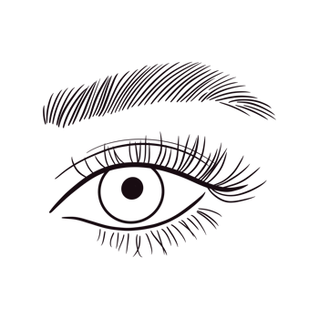 Female Clean Eyes Lashes Brows png