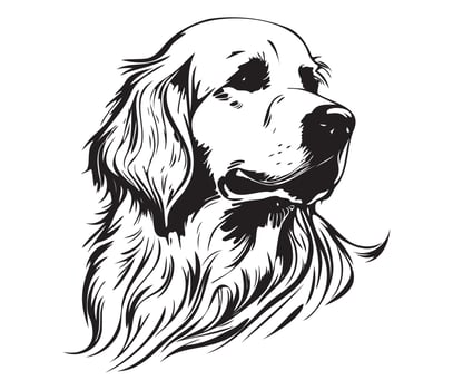Golden Retriever Face, Silhouette Dog Face, black and white Golden Retriever vector