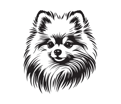 Pomeranian Face, Silhouette Dog Face, black and white Pomeranian vector