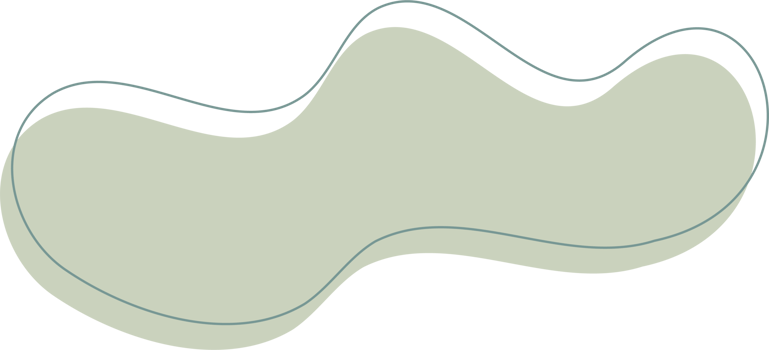 Green organic shape. Abstract amoeba blots in minimal trendy design with outline circles. Forms for poster story frames png