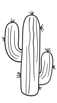 Hand Draw Cactus Line Art png