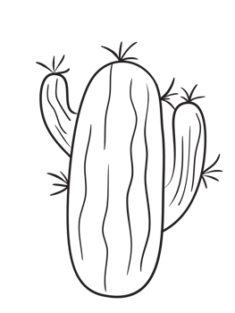 Hand Draw Cactus Line Art png