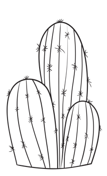 Hand Draw Cactus Line Art png