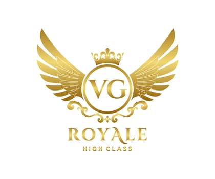 Golden Letter VG template logo Luxury gold letter with crown. Monogram alphabet . Beautiful royal initials letter. vector