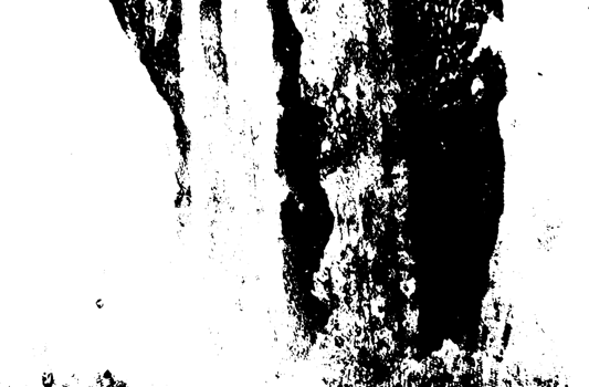 Rustic grunge texture with grain and stains. Abstract noise background. PNG graphic illustration with transparent background.