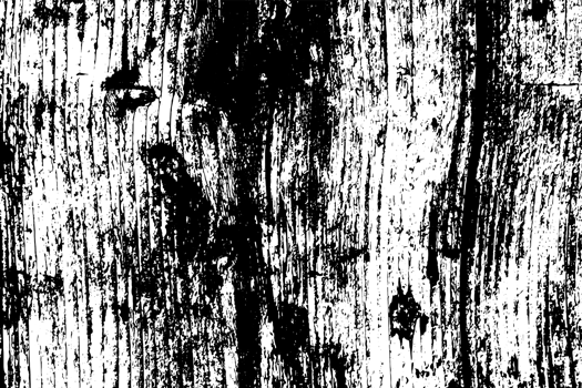 Rustic grunge texture with grain and stains. Abstract noise background. PNG graphic illustration with transparent background.