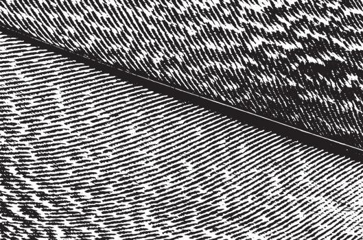 Rustic grunge texture with grain and stains. Abstract noise background. PNG graphic illustration with transparent background.