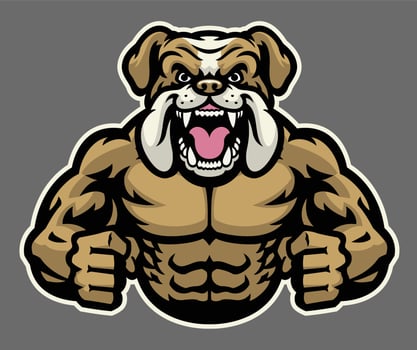 muscle angry bulldog vector