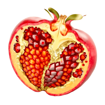hand painted pomegranate PNG transparent