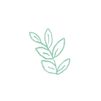 green leaf element isolated icon set of leaf png