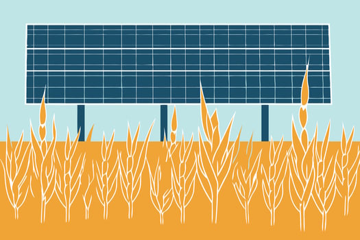 solar energy panels on a field vector