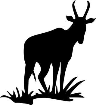 Vector silhouette of Antelope on white background