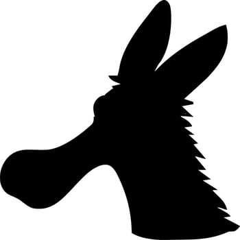 Vector silhouette of donkey on white background