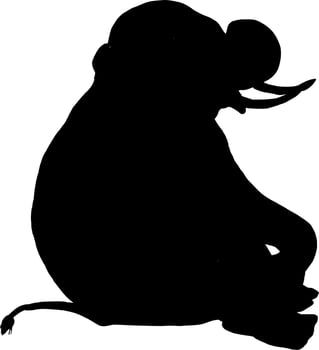 Vector silhouette of elephant on white background