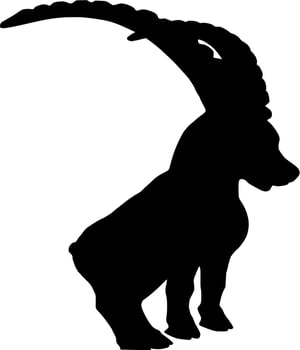 Vector silhouette of Goat on white background