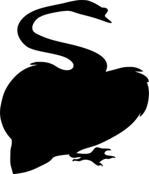 Vector silhouette of Swan on white background