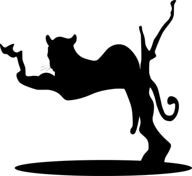 Vector silhouette of Lion on white background