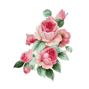 Roses watercolor . png