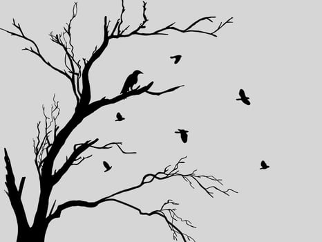 Black Branch Tree or Naked trees silhouettes. Hand drawn isolated illustrations. vector