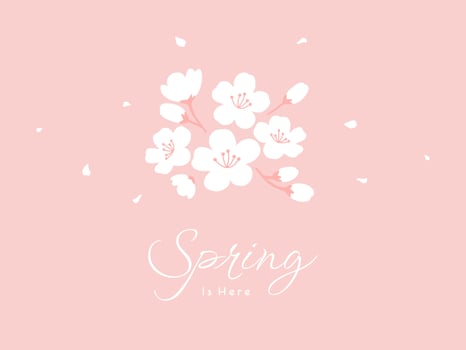 Hello spring banner. Trendy texture. Season vocation, weekend, holiday logo. Spring Time Wallpaper. Happy spring Day. Spring vector Lettering text. Fashionable styling. Flower vector.