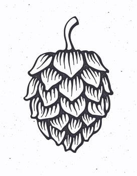 Hop cone. Vector illustration. Beer, pub and alcoholic beverage symbol. Clip-art for packaging, label, menu, signboard, showcase, logo, emblem. Only outline Isolated on white background