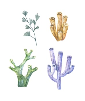 Seaweed set. Underwater plants. Watercolor illustration. Ocean. Sea.Seaweed algae, coral reef design element. Aquarium plants silhouettes vector