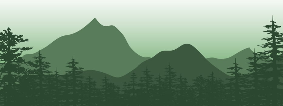 green tree forest background. Hand drawn isolated illustrations. vector