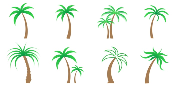 Collection of flat Coconut trees Icon. Can be used to illustrate any nature or healthy lifestyle topic. vector