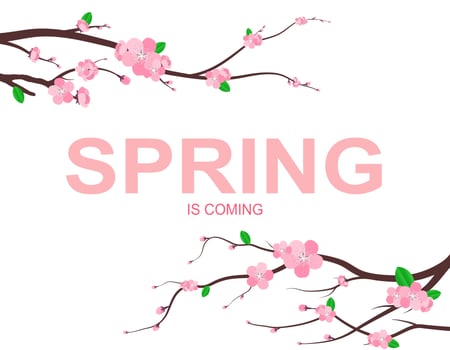 Colorful flowers Symbol style. and spring background. Can be used for your work. Welcome spring season concept. vector