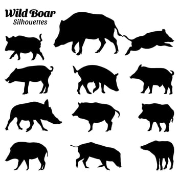 Wild boar silhouette vector illustration set.
