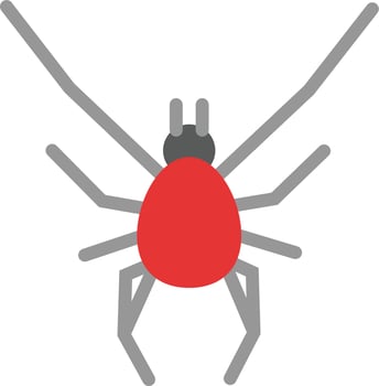 redspider Illustration Vector