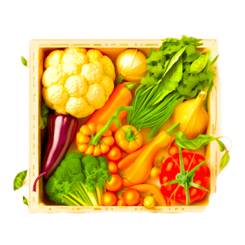 vegetable PNG transparent
