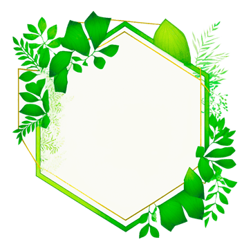 Green leaves frame on paper png