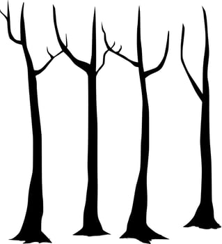 Vector silhouette of Tree on white background