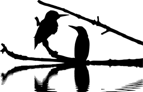 Vector silhouette of birds on white background