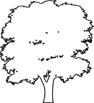 Vector silhouette of Tree on white background