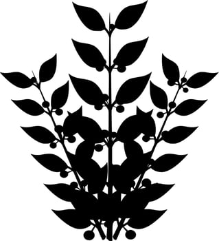 Vector silhouette of Flowers on white background