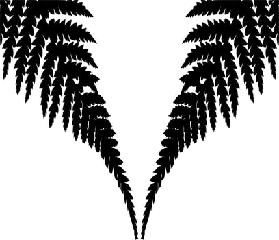 Vector silhouette of leaf on white background