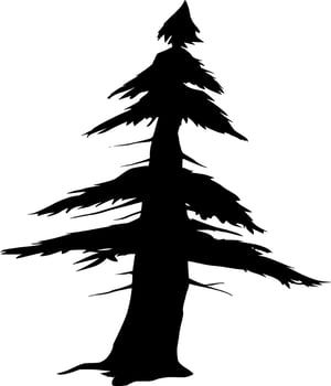 Vector silhouette of Tree on white background