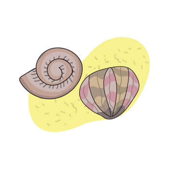 cute ocean and sea underwater life character set png