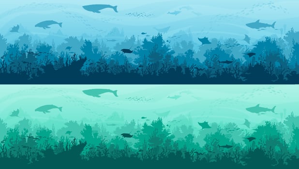 Underwater landscape silhouette, fishes background vector