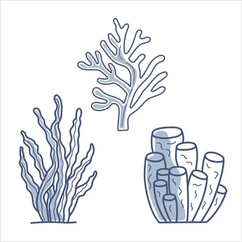 Set of 3 vector illustrations of sea seaweed blue line contour with partial filling.