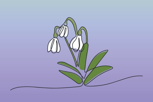 Vector illustration continuous one line of white snowdrop. Spring card with snowdrop. Spring flower
