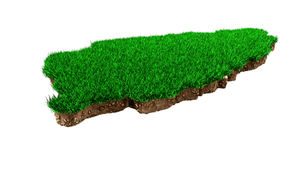 Saint Lucia Map Grass and ground Map texture 3d illustration png