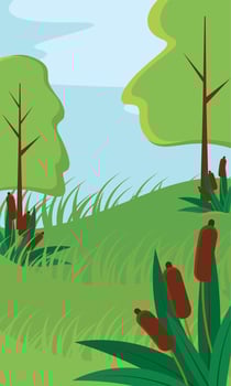 Colored vertical forest summer landscape Flat design Vector illustration